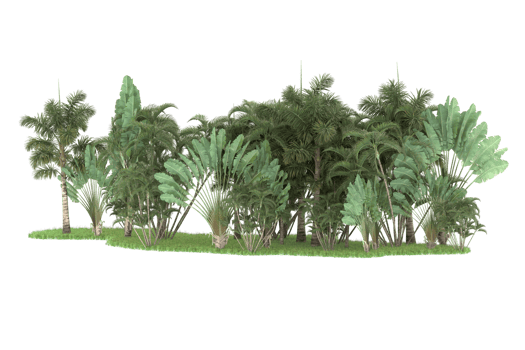 Realistic forest isolated on transparent background. 3d rendering - illustration png