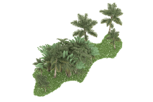 Realistic forest isolated on transparent background. 3d rendering - illustration png