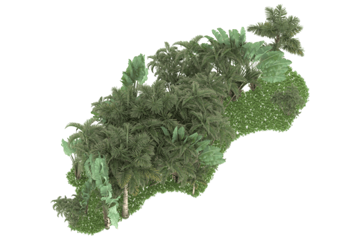 Realistic forest isolated on transparent background. 3d rendering - illustration png