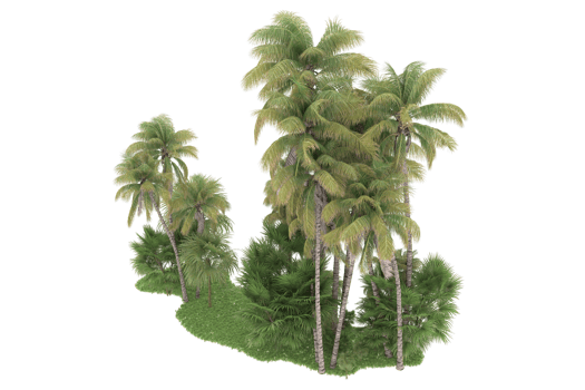 Realistic forest isolated on transparent background. 3d rendering - illustration png