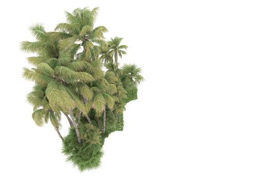 Realistic forest isolated on transparent background. 3d rendering - illustration png