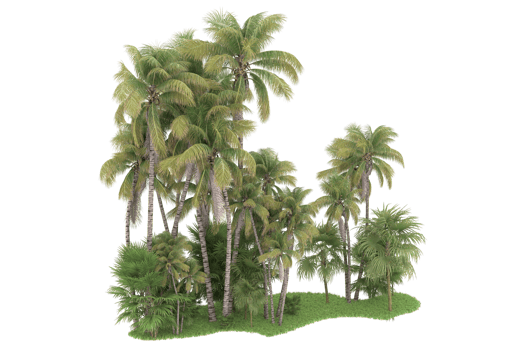 Realistic forest isolated on transparent background. 3d rendering - illustration png