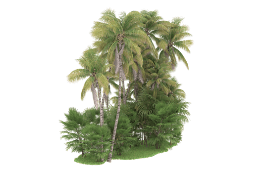 Realistic forest isolated on transparent background. 3d rendering - illustration png