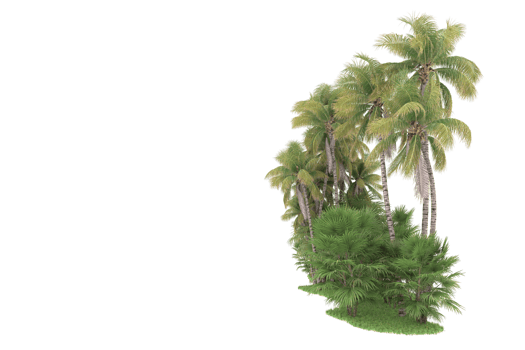 Realistic forest isolated on transparent background. 3d rendering - illustration png