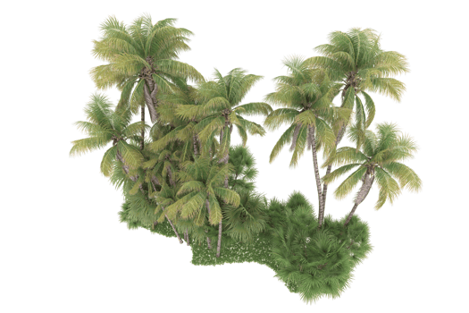 Realistic forest isolated on transparent background. 3d rendering - illustration png