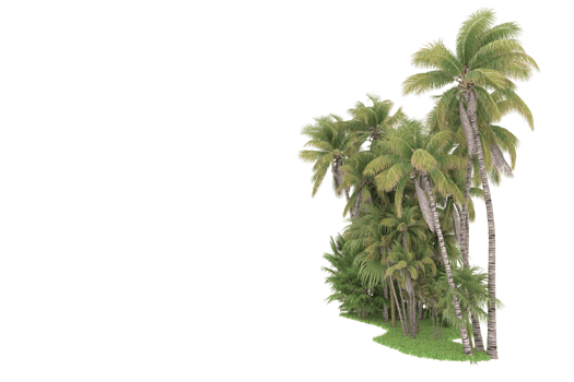 Realistic forest isolated on transparent background. 3d rendering - illustration png