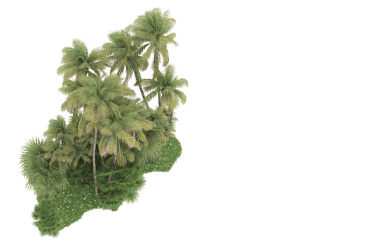 Realistic forest isolated on transparent background. 3d rendering - illustration png
