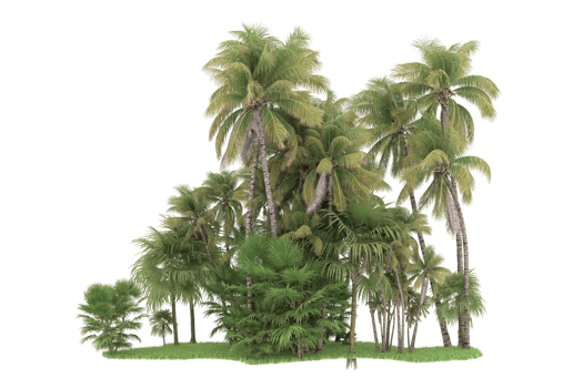 Realistic forest isolated on transparent background. 3d rendering - illustration png