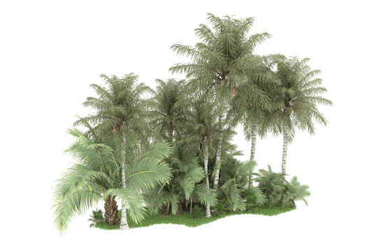 Realistic forest isolated on transparent background. 3d rendering - illustration png