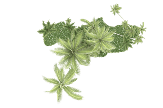 Realistic forest isolated on transparent background. 3d rendering - illustration png