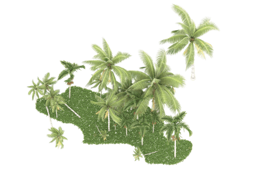 Realistic forest isolated on transparent background. 3d rendering - illustration png