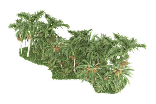 Realistic forest isolated on transparent background. 3d rendering - illustration png