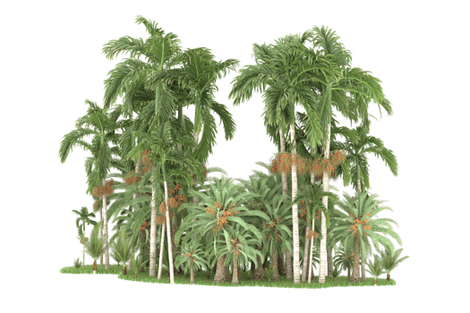 Realistic forest isolated on transparent background. 3d rendering - illustration png