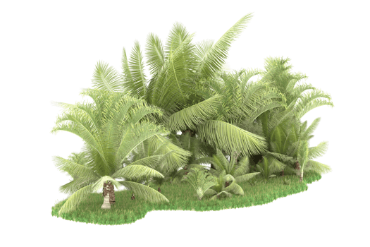Realistic forest isolated on transparent background. 3d rendering - illustration png
