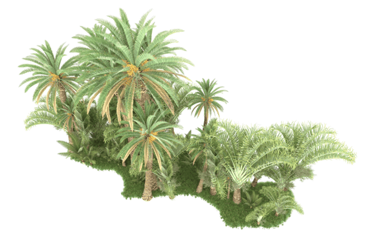 Realistic forest isolated on transparent background. 3d rendering - illustration png