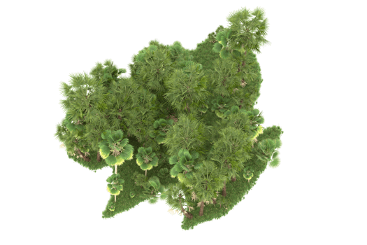 Realistic forest isolated on transparent background. 3d rendering - illustration png