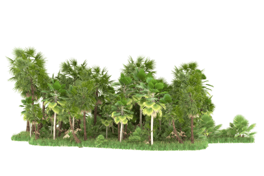 Realistic forest isolated on transparent background. 3d rendering - illustration png