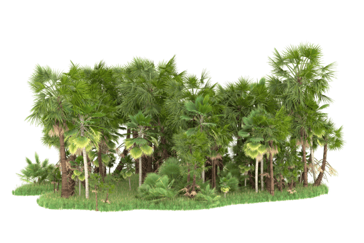 Realistic forest isolated on transparent background. 3d rendering - illustration png