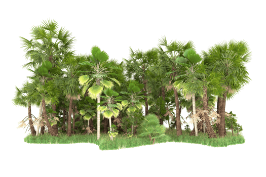 Realistic forest isolated on transparent background. 3d rendering - illustration png