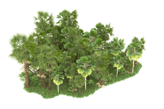 Realistic forest isolated on transparent background. 3d rendering - illustration png
