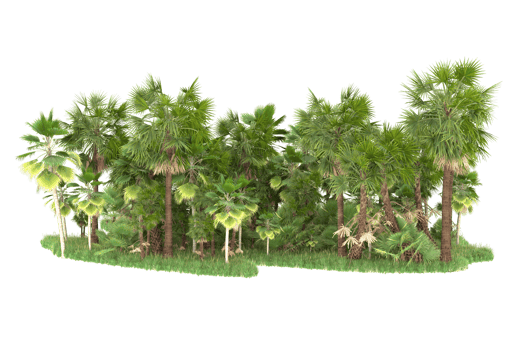 Realistic forest isolated on transparent background. 3d rendering - illustration png