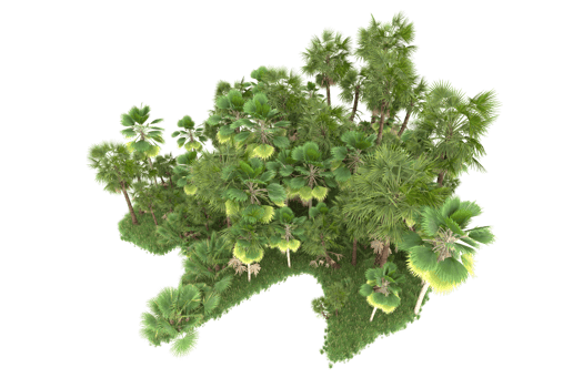 Realistic forest isolated on transparent background. 3d rendering - illustration png