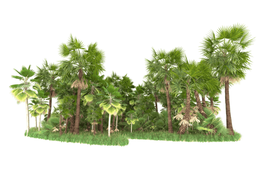 Realistic forest isolated on transparent background. 3d rendering - illustration png