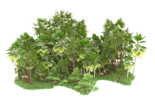 Realistic forest isolated on transparent background. 3d rendering - illustration png