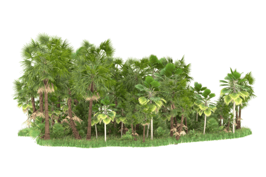Realistic forest isolated on transparent background. 3d rendering - illustration png