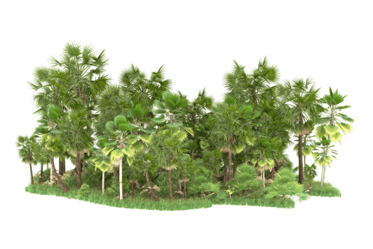 Realistic forest isolated on transparent background. 3d rendering - illustration png