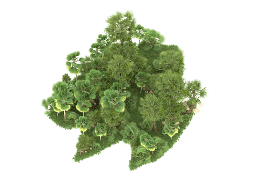 Realistic forest isolated on transparent background. 3d rendering - illustration png