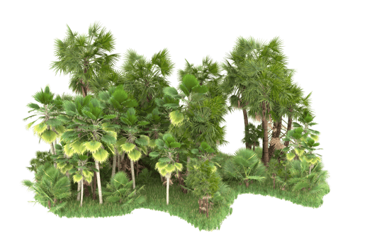 Realistic forest isolated on transparent background. 3d rendering - illustration png