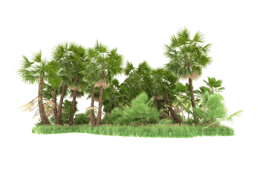 Realistic forest isolated on transparent background. 3d rendering - illustration png