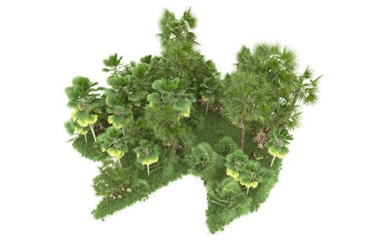 Realistic forest isolated on transparent background. 3d rendering - illustration png