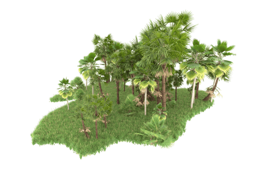 Realistic forest isolated on transparent background. 3d rendering - illustration png