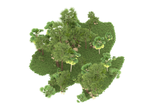 Realistic forest isolated on transparent background. 3d rendering - illustration png