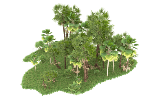 Realistic forest isolated on transparent background. 3d rendering - illustration png