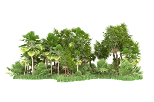 Realistic forest isolated on transparent background. 3d rendering - illustration png