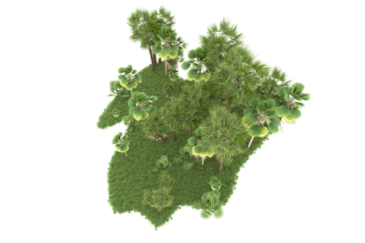 Realistic forest isolated on transparent background. 3d rendering - illustration png