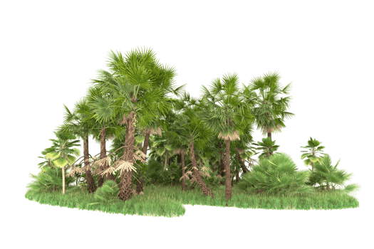 Realistic forest isolated on transparent background. 3d rendering - illustration png