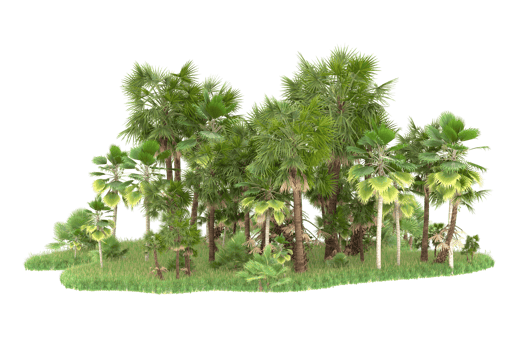 Realistic forest isolated on transparent background. 3d rendering - illustration png