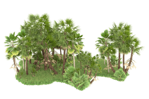 Realistic forest isolated on transparent background. 3d rendering - illustration png