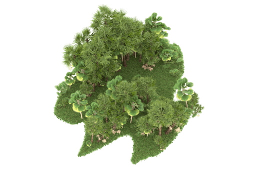 Realistic forest isolated on transparent background. 3d rendering - illustration png