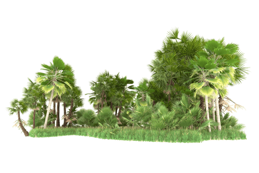 Realistic forest isolated on transparent background. 3d rendering - illustration png