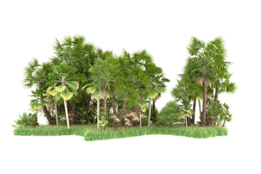 Realistic forest isolated on transparent background. 3d rendering - illustration png