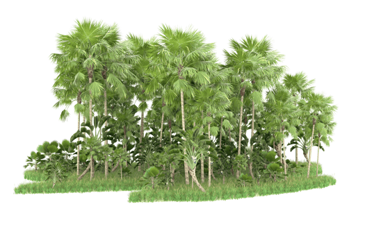 Realistic forest isolated on transparent background. 3d rendering - illustration png