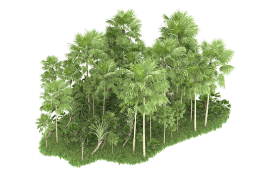 Realistic forest isolated on transparent background. 3d rendering - illustration png