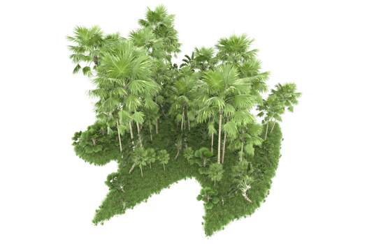 Realistic forest isolated on transparent background. 3d rendering - illustration png