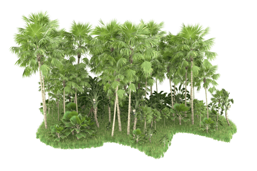 Realistic forest isolated on transparent background. 3d rendering - illustration png