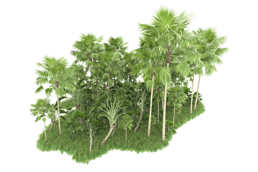 Realistic forest isolated on transparent background. 3d rendering - illustration png